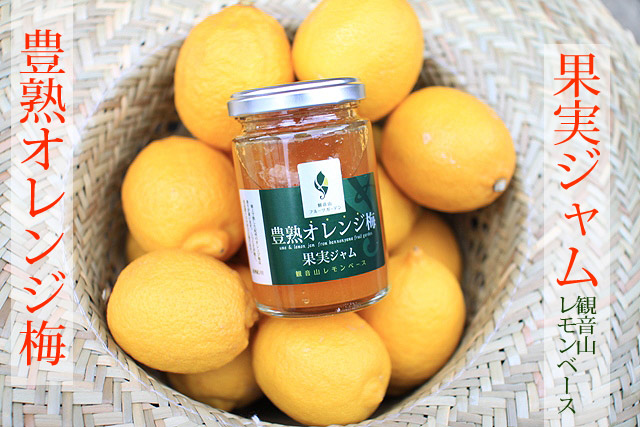 梅ジャムとチキンソテーの簡単レシピ