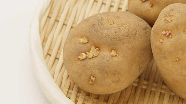 じゃがいもに芽が!食べられる?食べられない?元スーパーの店員が解説! ぱるとよ- エキスパート - Yahoo!ニュース