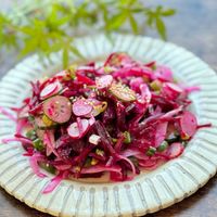 Bar pancho 辻堂で昼3時からオープン｢白菜､ビーツ､生ハムのサラダ｣ 彩りも鮮やかなビーツ✨ 生ハムの塩気と、白菜のしゃきしゃきした食感が👌15:00～24:00営業 本日もよろしくお願いいたします🙏白菜サラダ ビーツサラダ 生ハムサラダ 鮮やかな しゃきしゃき食感