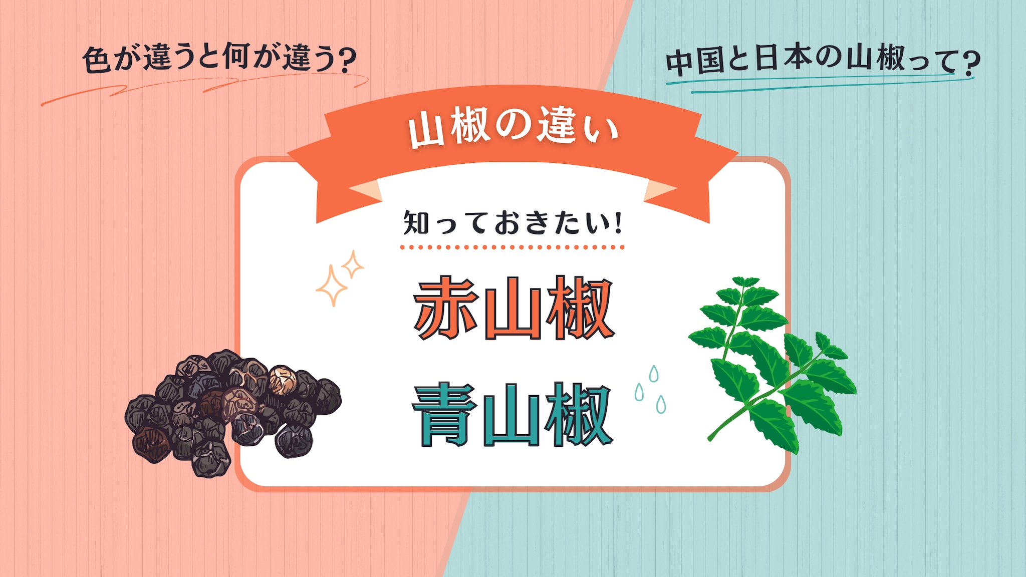 花椒 山椒 ホール ホアジャオ10gスパイス サンショウ 香辛料 業務用 3,980円以上で送料無料！ ※ネコポス非対応スパイス販売 通販 スパイスラック