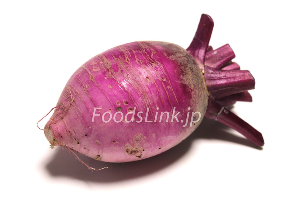 ミニダイコン 紅くるり種 タネ ,球根,苗,資材,ガーデニンググッズの通販はサカタのタネ オンラインショップ