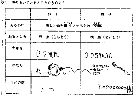 精子も３５歳から老化する。３５歳を過ぎてからの漢方対策 | 漢方専門 福田漢方薬局（大阪）