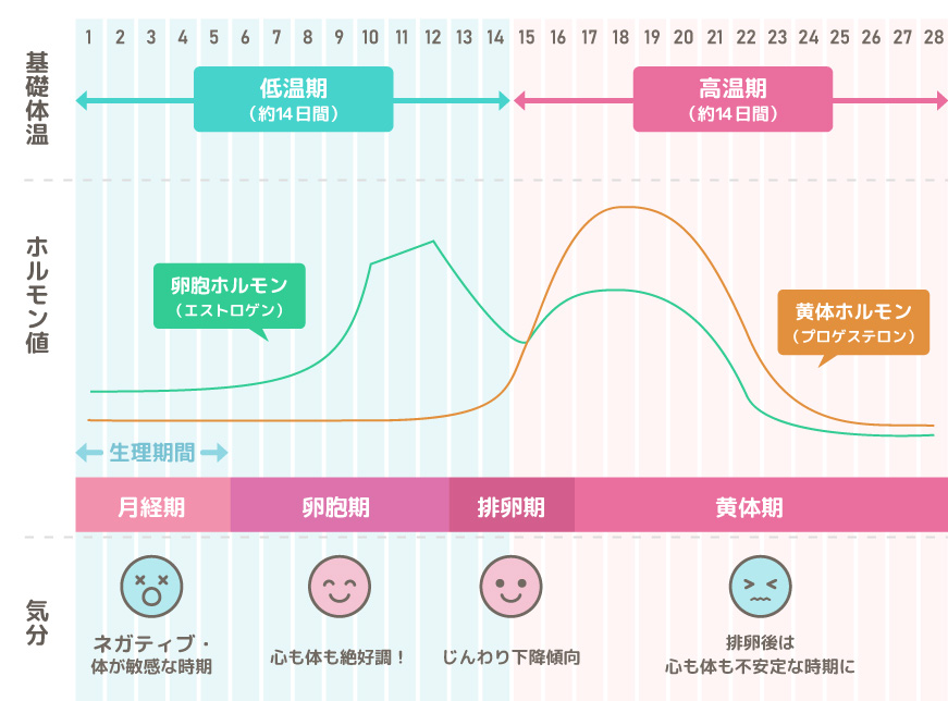 飲み会で盛り上がった男女が居酒屋のトイレでセックスしてしまう 連れ込み盗撮動画 ツレコム