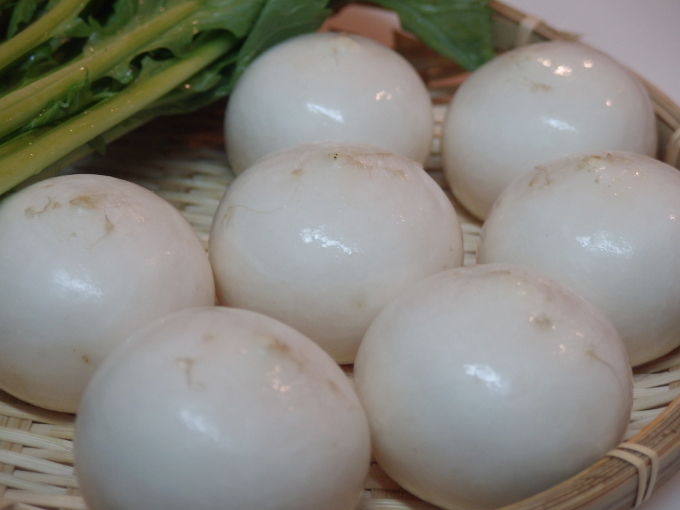 菊花カブが担ぐ縁起とは？おせち料理に華やかさを添える！おせち料理ブログオージーフーズとっておきや