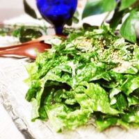 有限会社アド・ワン-nanaサラダ サンチュのレシピ