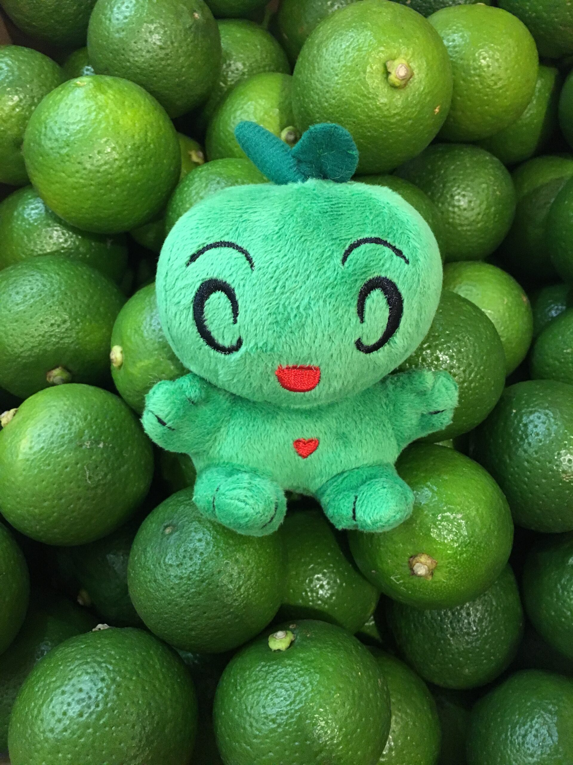 すだち・かぼす・ゆず、どう使い分ける？魅力・特徴・保存方法・栄養価を徹底解説！青空市場