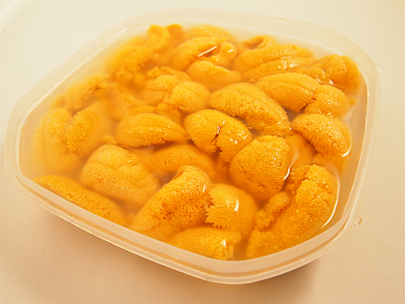 塩うに 塩ウニ 150g 高級バフンウニ 日本三大珍味 福井県 越前仕立て 手作り塩製法 ご家庭用 業務用 雲丹 しおうに 珍味 送料無料 爆買