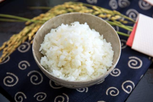 お米の保存ガイド!冷蔵・常温での正しい保存方法とポイントを解説くらだしマガジン