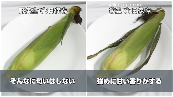 鮮度が命!美味しいトウモロコシの見分け方
