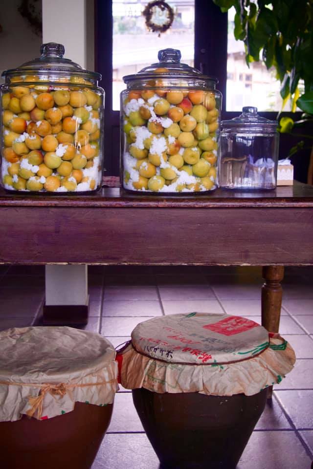 焼酎梅干し割り。焼酎に合うおすすめの梅やお湯割りサワー等の割り方 – お酒の通販ならリンクサス酒販