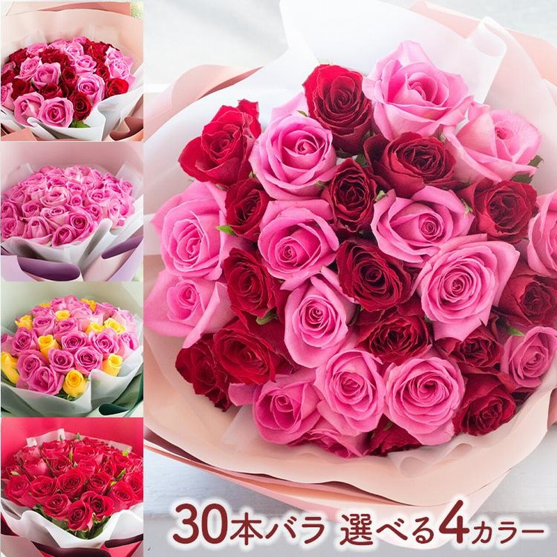 楽天市場 レッドバトラ－花束□花 おしゃれ フラワー 花束 記念日 お祝い フラワー ギフト プレゼント 誕生日 出産祝い 結婚記念日 開店祝い開店祝い 花 おしゃれ バラ お供え お悔やみ 赤 退職 還暦 古希 喜寿 米寿 白寿 百寿 : 花ギフト ラ・フランス