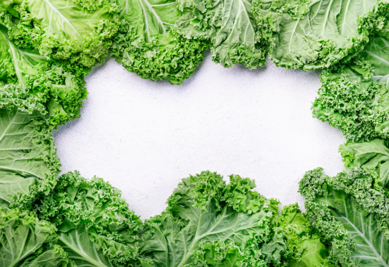 ツルムラサキってどんな野菜?食べ方や栄養素、レシピ14選をご紹介! - macaroni