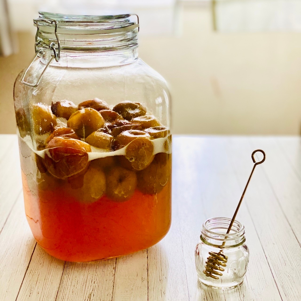 梅シロップが発酵した場合の対処法や失敗しない作り方東京ガス ウチコト