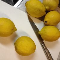 れもん白湯作り方2024 年のリアルなLemon8ユーザー体験