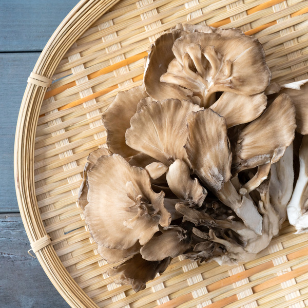 舞茸・炊き込みご飯の作り置き！冷凍保の日持ちと炊飯器・冷蔵庫の賞味期限BIJOHビジョー