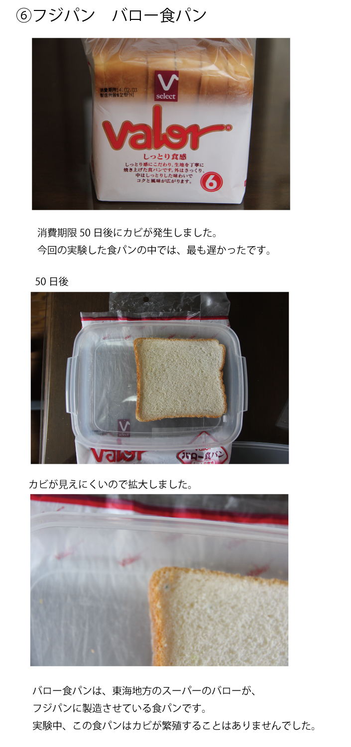 パンに生えたカビを食べても大丈夫！？カビの危険性を徹底解説