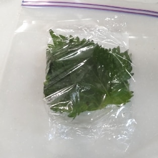 冷凍や乾燥もOK？ より美味しく日持ちさせる大葉の保存テクニックau Webポータル国内ニュース