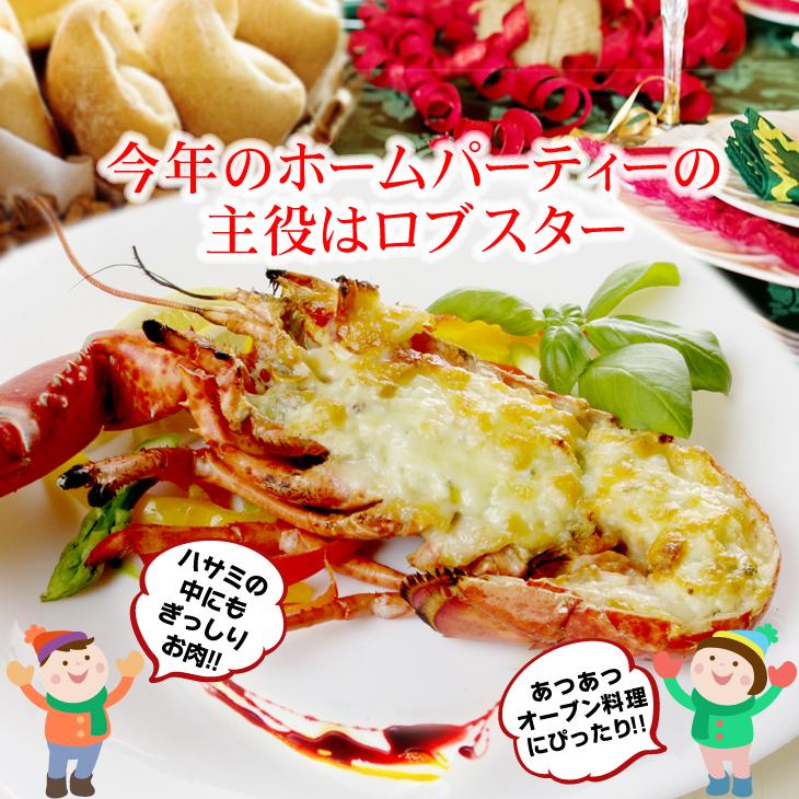 Picardのロブスター絵本とWebと