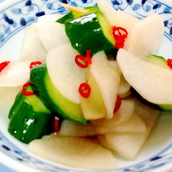 本格的!白だし浅漬け