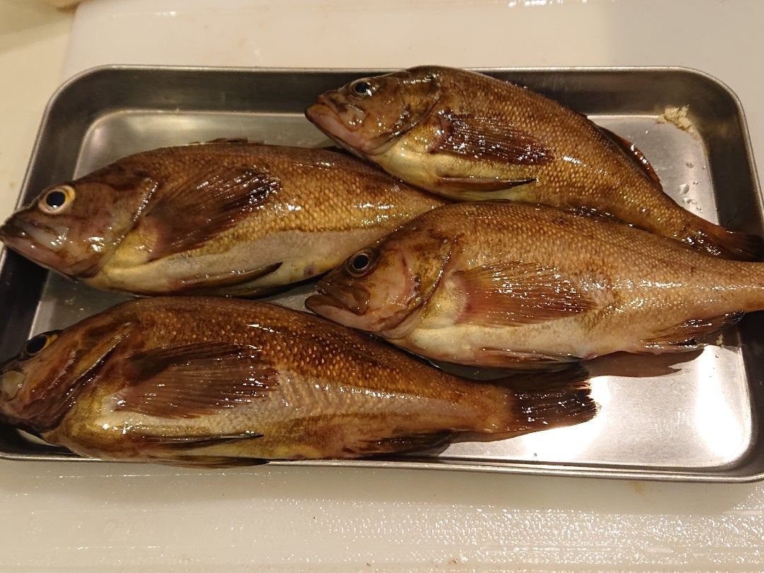 エゾメバル ガヤ をから揚げにして美味しくいただきましたょ56DOC BLOG