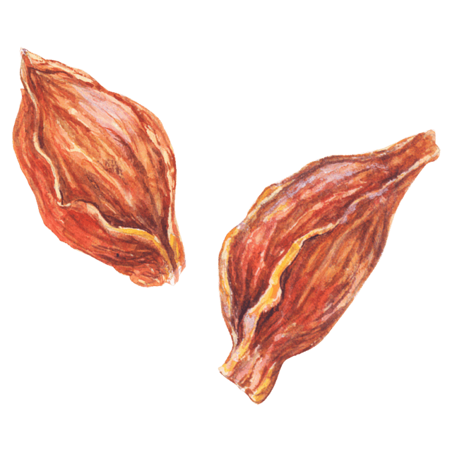 しあわせは食べて寝て待て」から学ぶ“ゆる薬膳 - 漢方ライフ- 漢方を始めると、暮らしが変わる