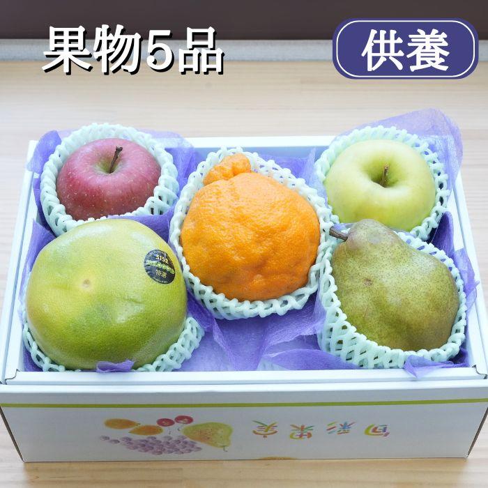 阪急うめだ本店 これ、かわいい！と思わずギフトしたくなるような、フルーツモチーフの雑貨やチョコスイーツを集結！「FRUITS HUNT！」グルメプレス