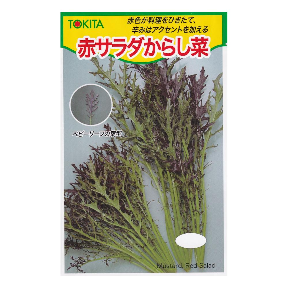 カラシナ種子 渡辺採種場 からしな 「リアスからし菜」「赤リアスからし菜」 ☆新タネのお届けは7月以降野菜と花の種・苗・緑肥の通販野菜作り・家庭菜園なら 清水屋種苗園藝 商品詳細