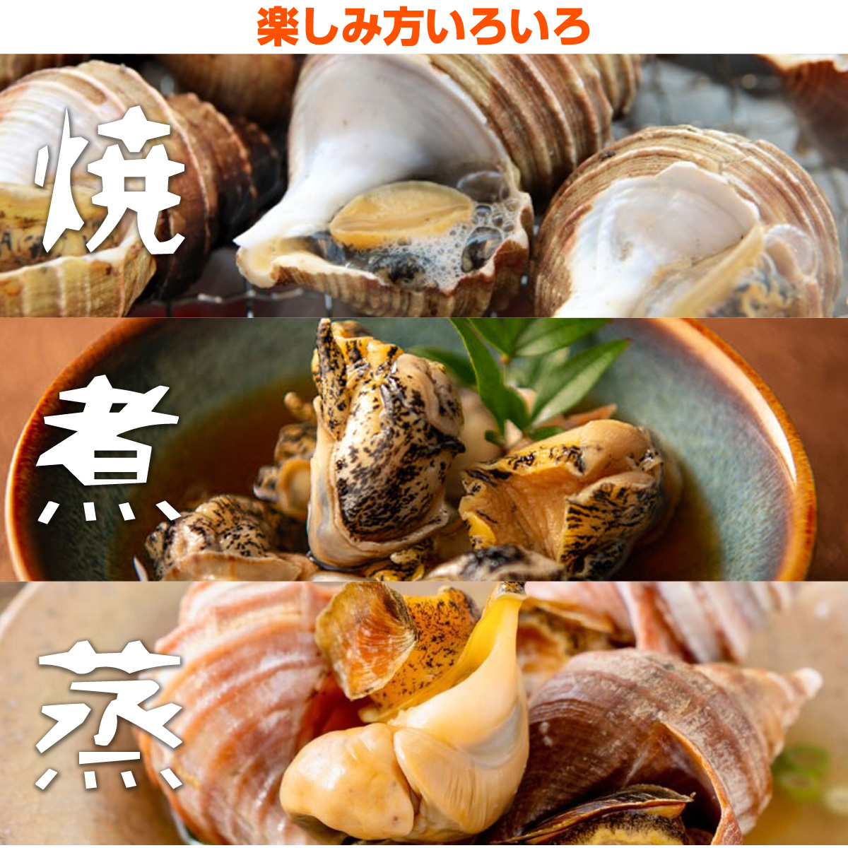 つぶ貝の塩ゆで