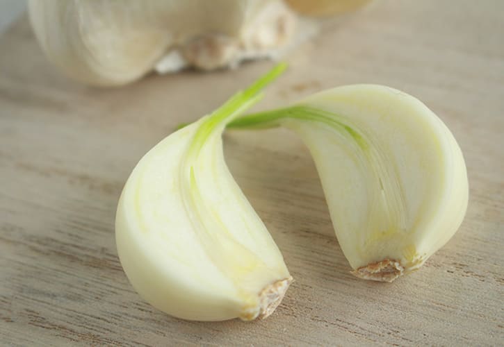 半日陰ベランダで芽が出たニンニクを春に植えてみました半日陰ベランダ906