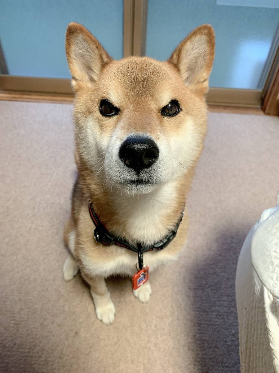 54,ʚ2人きりの空間ɞめいどりーみん 秋葉原、大阪、名古屋、小倉、他全世界19店舗展開中