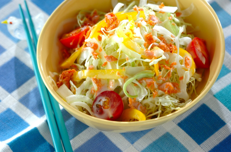 美味しくオシャレに♪「サラダ」の盛り付け方 – めいらく調査隊が行く！知って得する食と健康コラム