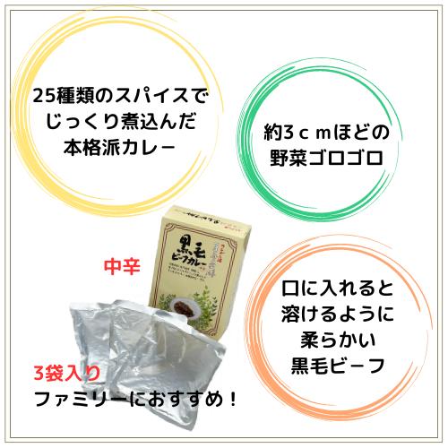 但馬屋 黒毛和牛ビーフカレー＆牛たんカレーセットおとなの週末お取り寄せ倶楽部