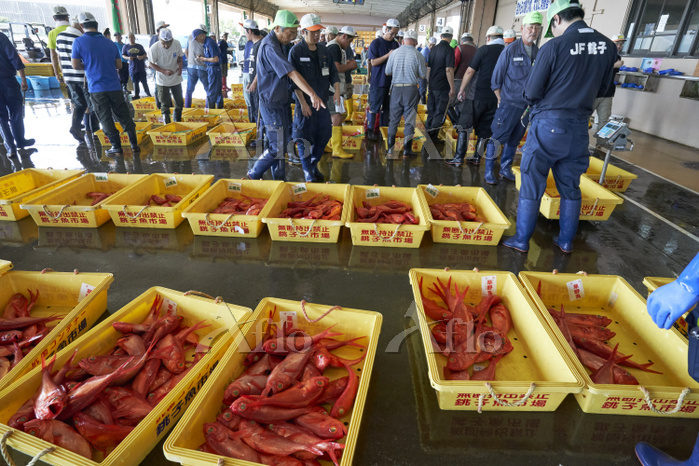 漁港巡り 魚のまち「銚子」を満喫：水揚げ量日本一、観光スポットも充実nippon.com