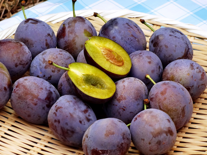 創健社 カリフォルニアプルーン 150g株式会社創健社-自然食品の企画・製造・卸売