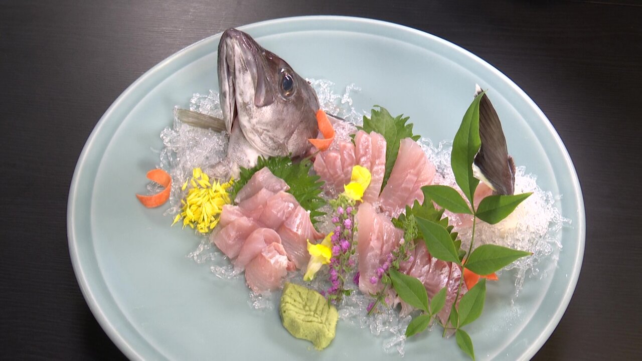 アラ 幻の魚 釣り方を解説！超高級魚を食べる時のおすすめレシピ4選もTSURI HACK 釣りハック