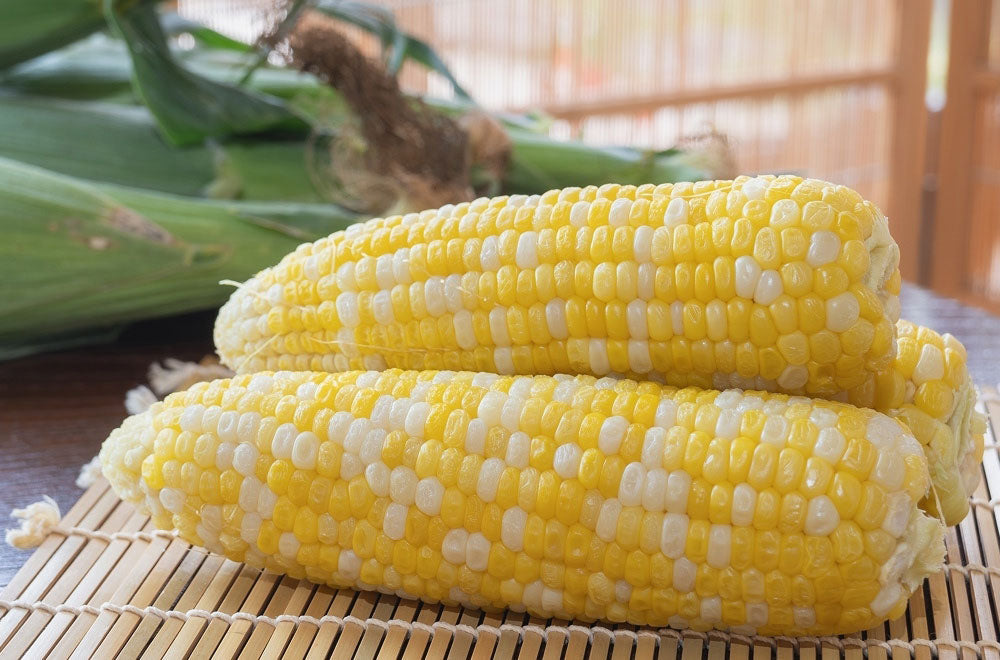 日本初の赤いとうもろこし「大和ルージュ®」とは?食べてわかった3つの魅力 - macaroni