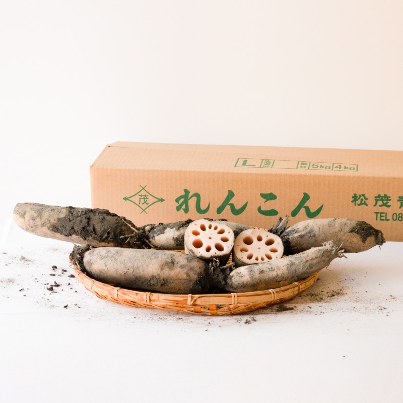 泥付きれんこんの洗い方と保存方法。穴に入った泥はどう洗う？美味を並べて