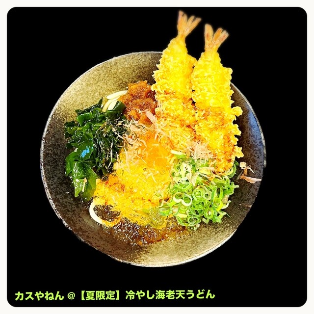 親子丼や京風うどんで有名な「なか卯」の全メニューを紹介！ 大阪本町店- ソロ活おっさんのアローン飯なび