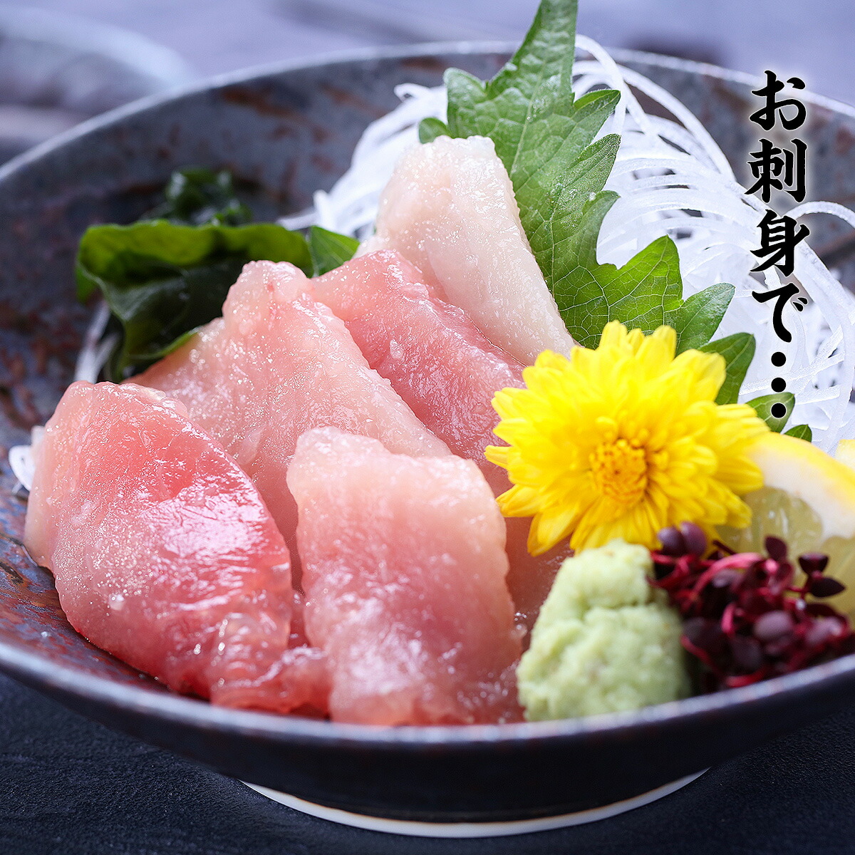 ビンナガマグロビンチョウマグロ市場魚貝類図鑑