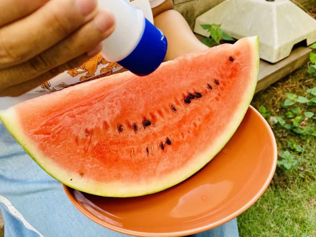 小玉すいか ひとりじめ 2～3玉 和歌山産 先行予約2026年6月上旬頃から順次発送予定 期間限定 シャリシャリ 皮薄い 果肉 甘い糖度12～14度 冷蔵庫 八百屋 厳選 - 和歌山県御坊市ふるさとチョイス - ふるさと納税サイト