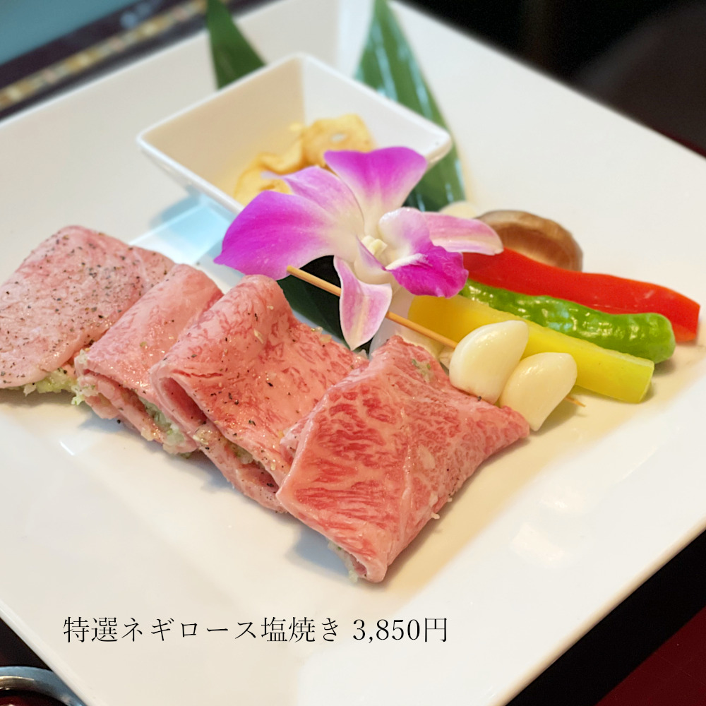 初めて叙々苑に行くときのおすすめメニュー選び～初回でも満足できる頼み方～東急三崎口の雑記帳