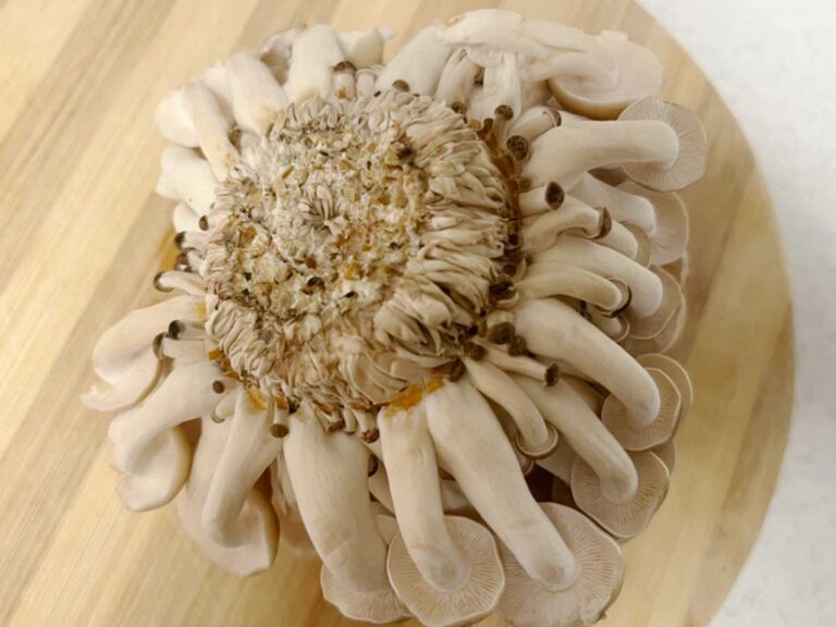 調理の裏ワザ 「しめじ」の下処理 “石づきだけをキレイに取る方法”試してみた！「え、包丁使わない⁉」『あたらしい日日』こんな時代のニューノーマルな暮らし方。食と農、生活情報をお届けします