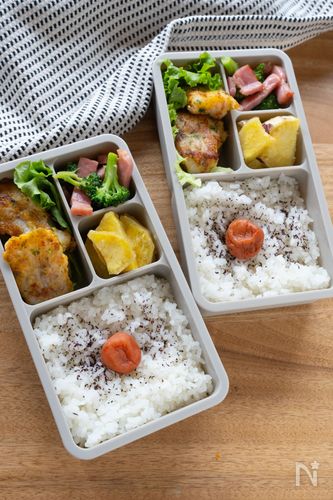 はじめてのお弁当に ラクしてかわいい! 子ども弁当作りのコツは