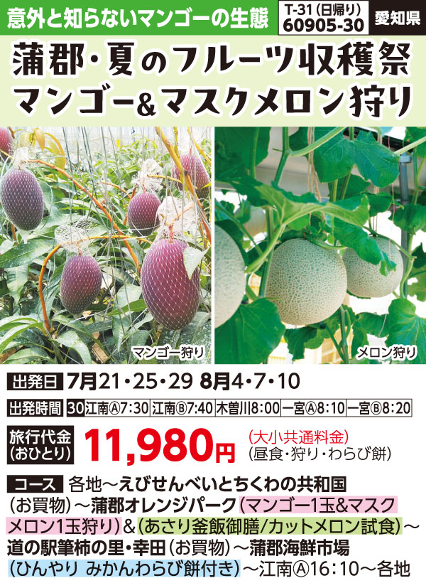 みんな大好き『フルーツ狩り』久留米・筑後川流域～夏から秋編～