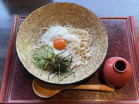 小諸そば 山かけ丼セット 570円立ち食いそば探訪