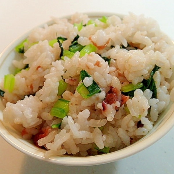 小松菜とワカメの混ぜごはん