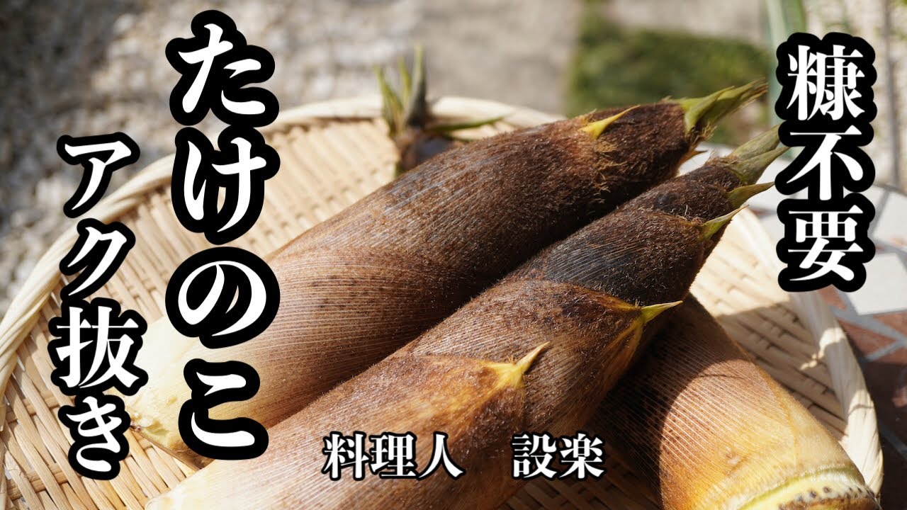 農家のおかみさんに聞く！ 掘りたてタケノコのゆで方森ノオト