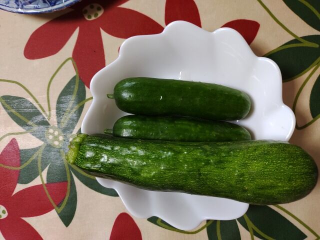 ズッキーニを病気から守る！知っておくべきズッキーニの病気6つとその対策産直プライム.labブログJA連携！産地直送通販なら産直プライム