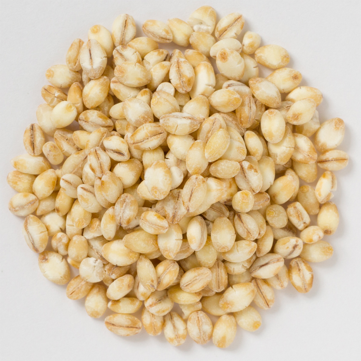 オオムギ 大麦一般社団法人日本雑穀協会