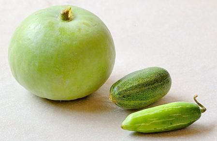 瓜の種類の一覧まとめ！漢字の「瓜」はいったい何種類あるの？食う寝る暮らす